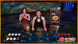tai-xiu-live-stream